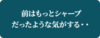前はもっとシャープだったような気がする・・