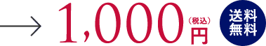 1,000円（税込）送料無料