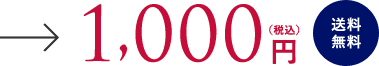 1,000円（税込）送料無料