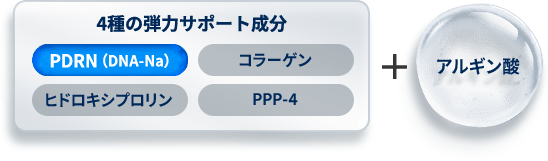 4種の弾力サポート成分　PDRN（DNA-Na）コラーゲン　ヒドロキシプロリン　PPP-4　＋　アルギン酸
