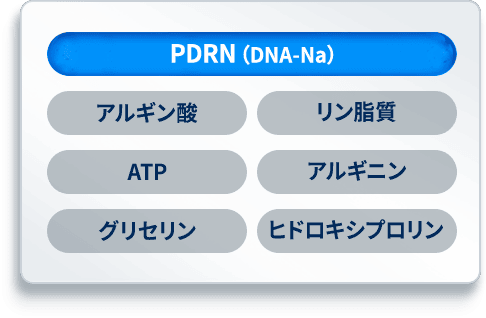 PDRN（DNA-Na） アルギン酸 リン脂質 ATP   アルギニン グリセリン ヒドロキシプロリン