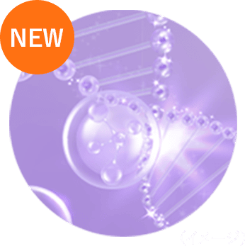 （イメージ）