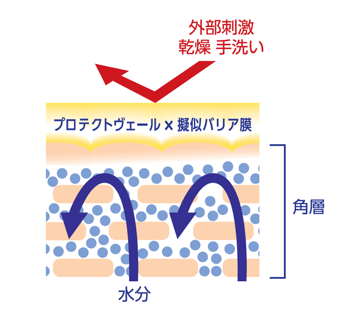 擬似バリア膜イメージ