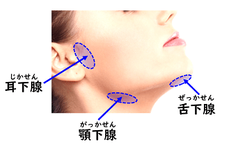 女性の顔