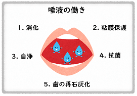 口のイラスト