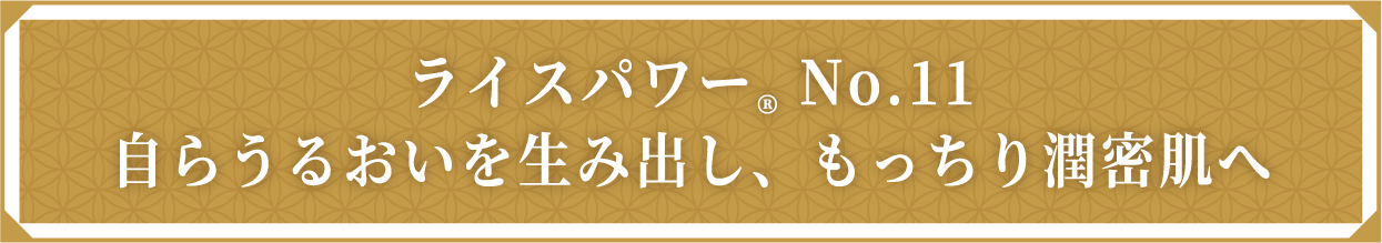 ライスパワー&reg; No.11自らうるおいを生み出し、もっちり潤密肌へ