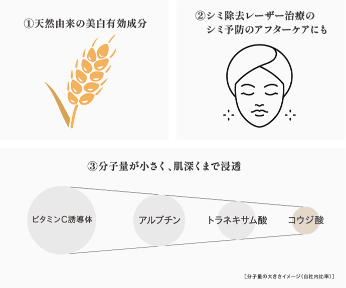 美白有効成分コウジ酸の魅力
