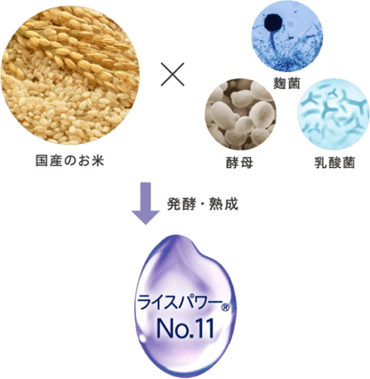 伝統技術×最先端科学の融合