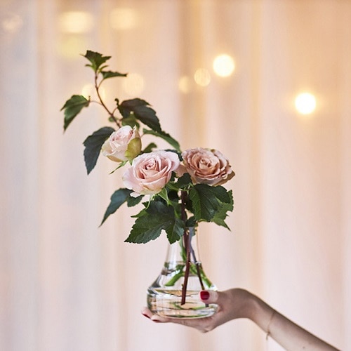 おうち時間をもっとステキに?  花のある暮らしを楽しもう
