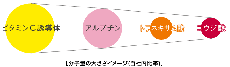 分子量の大きさイメージ