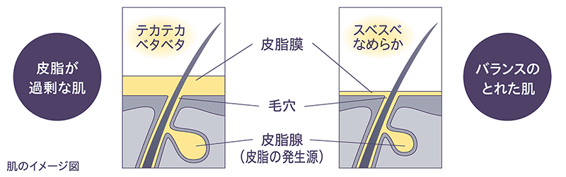 肌のイメージ図