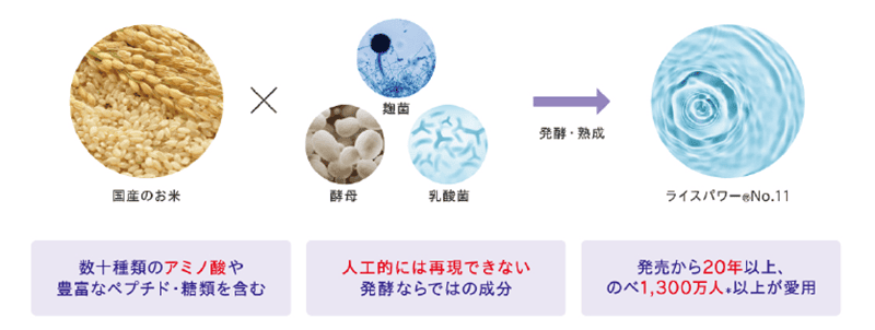 ライスパワーが生まれるまで