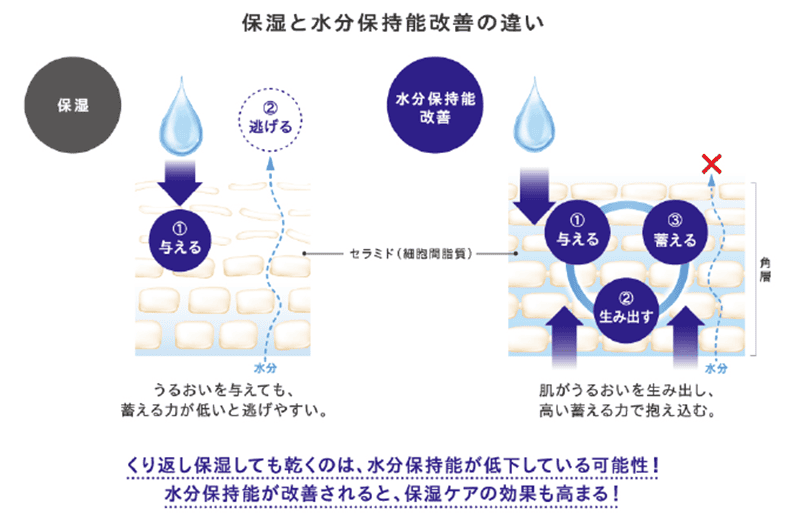 肌のうるおい