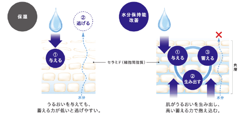 肌のうるおい