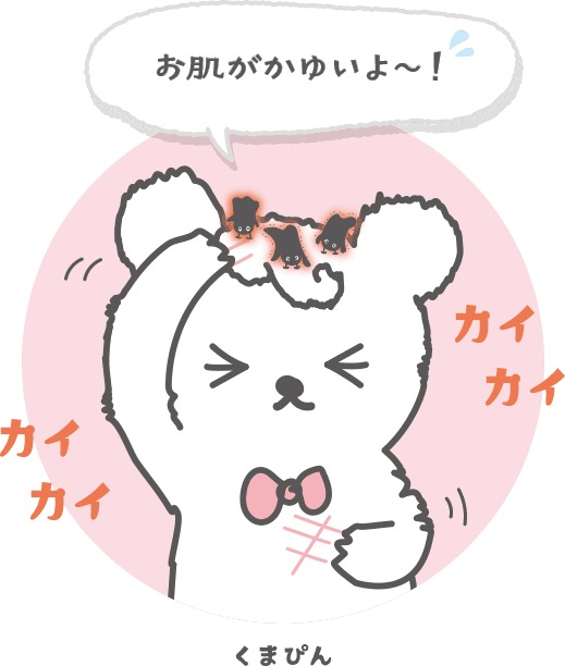 くまぴん