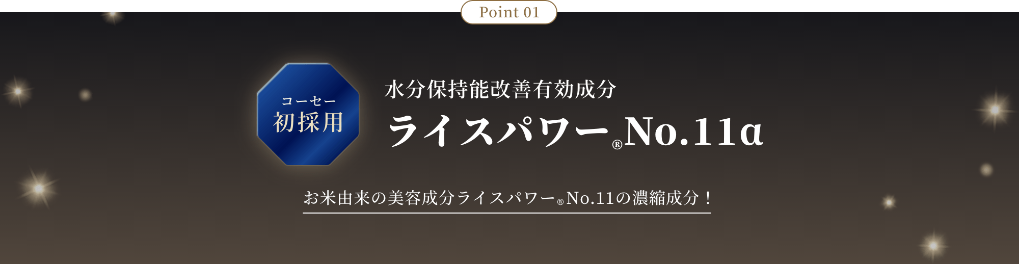 Point 01 コーセー初採用 水分保持能改善有効成分 ライスパワー&reg;No.11α お米由来の美容成分ライスパワー&reg;No.11の濃縮成分！