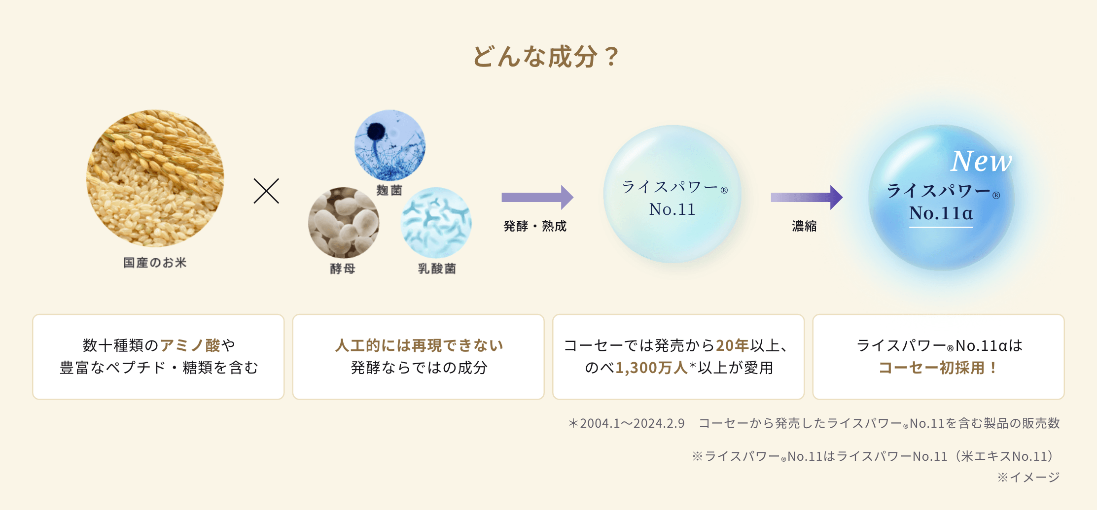 ライスパワー&reg;No.11αとはどんな成分かの解説。国産のお米に、麹菌、酵母、乳酸菌を加えて発酵・熟成させ、ライスパワー&reg;No.11を抽出。さらにそれを濃縮することで、コーセー初採用の「ライスパワー&reg;No.11α」が生成されるまでの工程図。