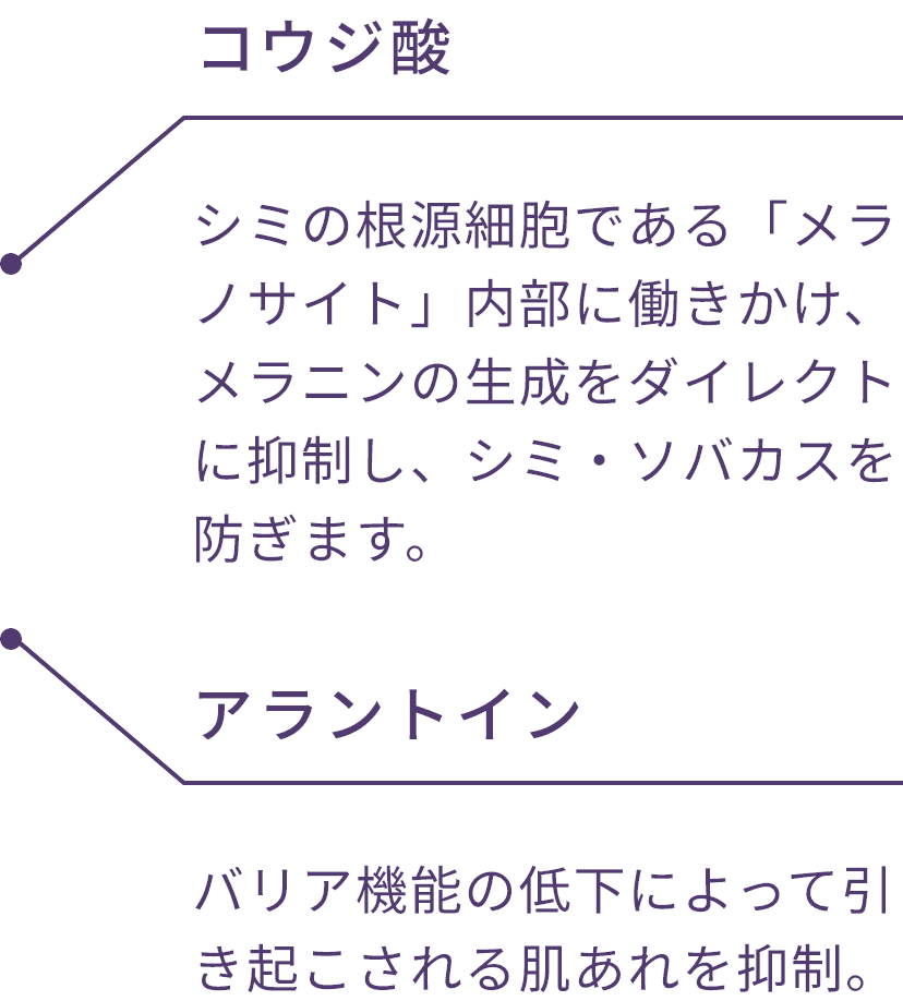 コウジ酸 シミの根源細胞である「メラノサイト」内部に働きかけ、メラニンの生成をダイレクトに抑制し、シミ・ソバカスを防ぎます。アラントインバリア機能の低下によって引き起こされる肌あれを抑制。