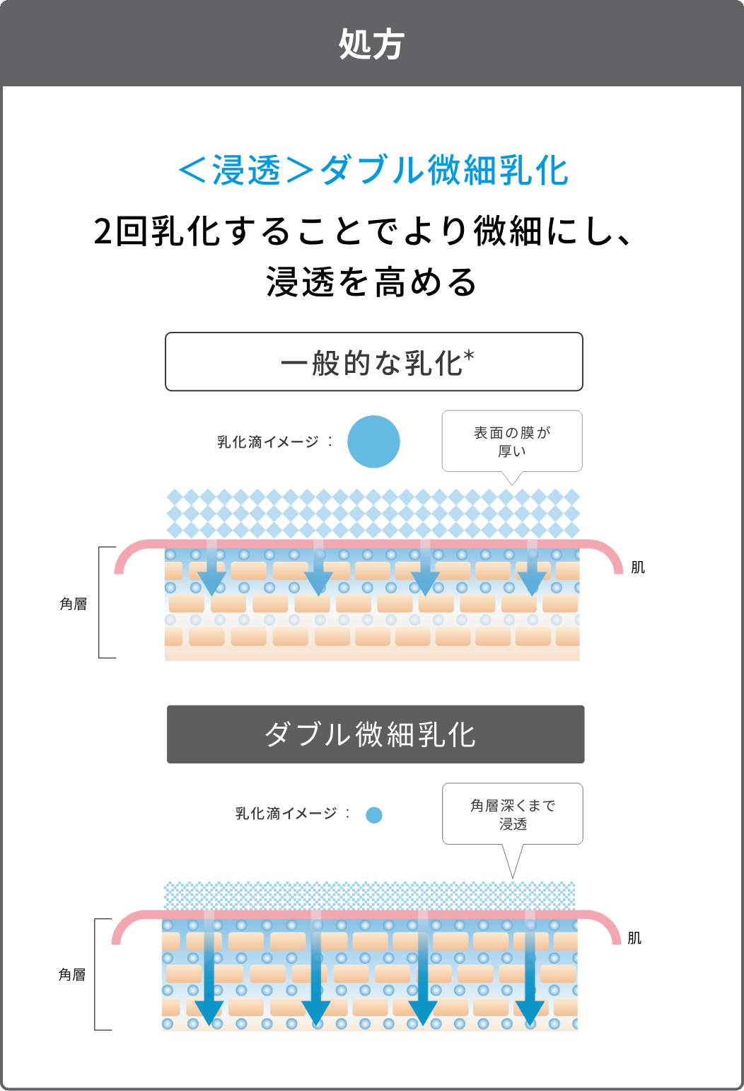 処方 ＜浸透＞ダブル微細乳化 2回乳化することでより微細にし、浸透を高める