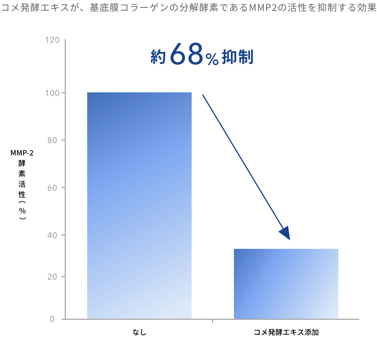 基底膜コラーゲン分解抑制効果