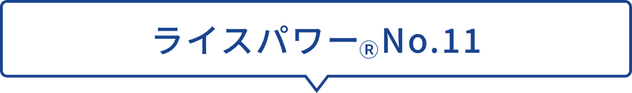 ライスパワーNo.11