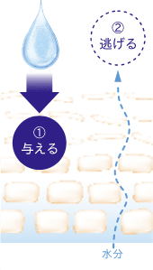 保湿
