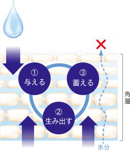 セラムヴェール シリーズ