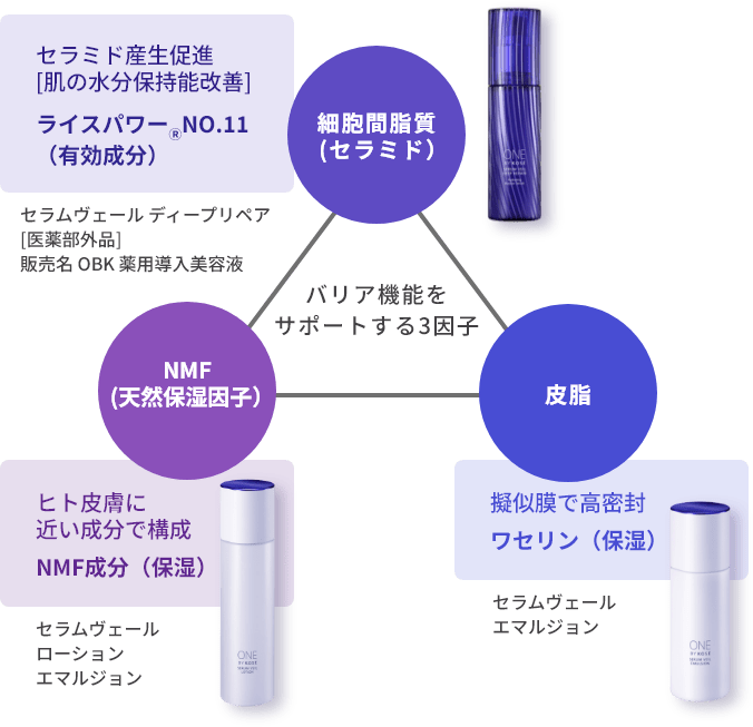 バリア機能を サポートする3因子