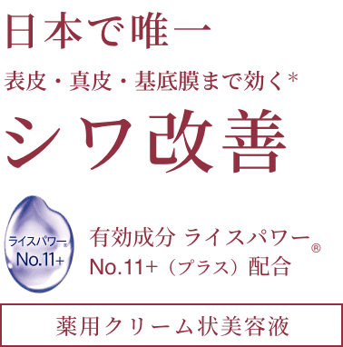 日本で唯一表皮・真皮・基底膜まで効く*シワ改善 有効成分ライスパワー&reg; No.11+（プラス）配合 薬用クリーム状美容液