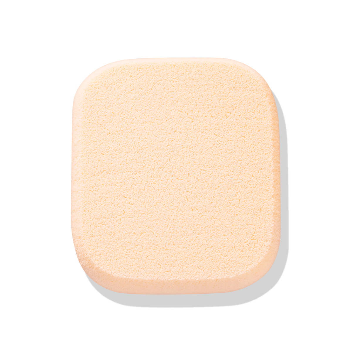 メイクアップ スポンジ Ｎ