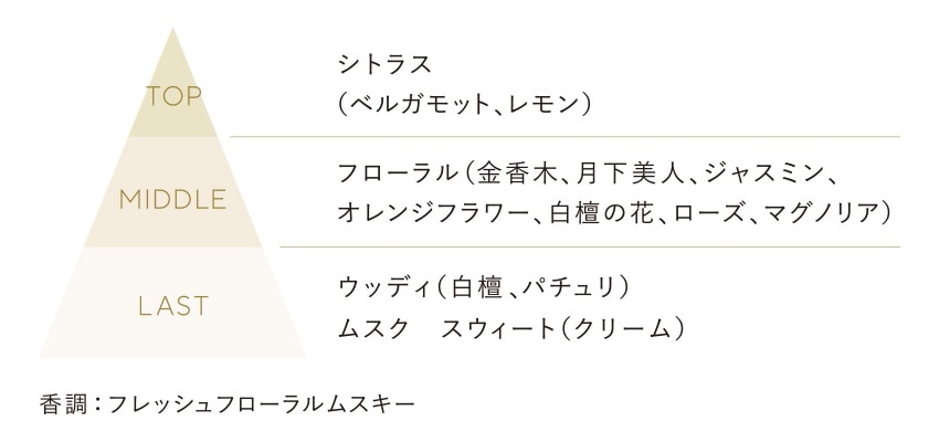 Fragrance Notes