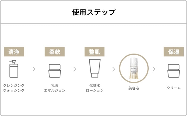 使用ステップ