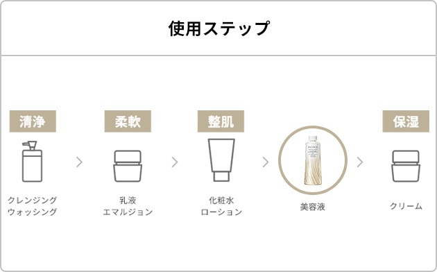 使用ステップ