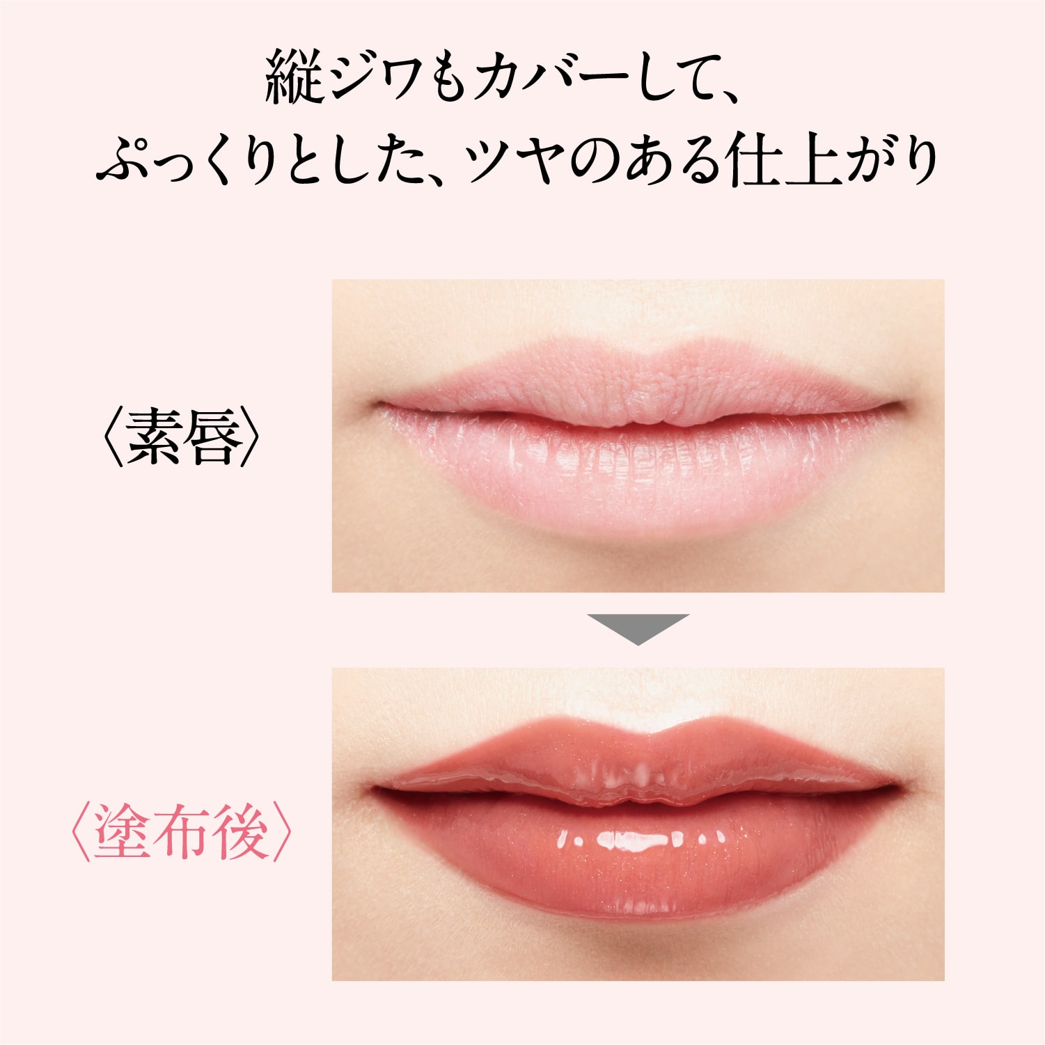 カラーチャート