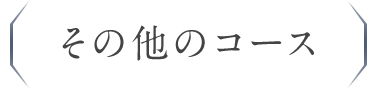 その他のコース
