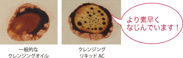 角層イメージ